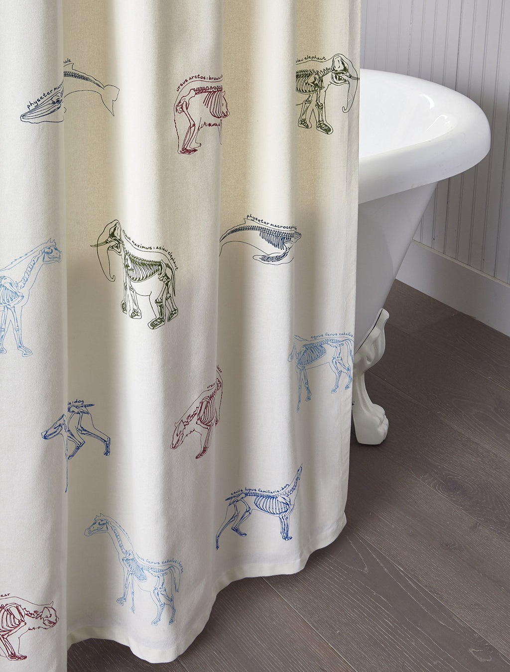 Kids Animal Science Shower Curtain