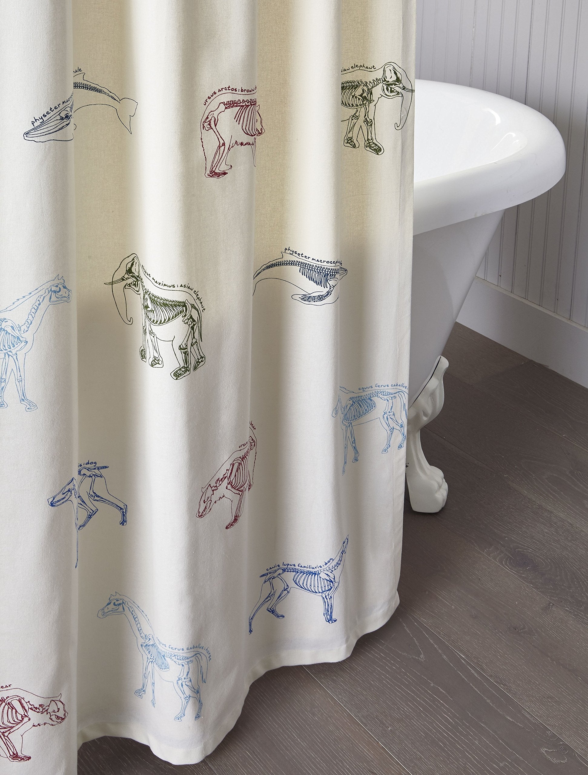 Kids Animal Science Shower Curtain