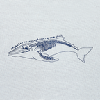 Kids Animal Science Shower Curtain