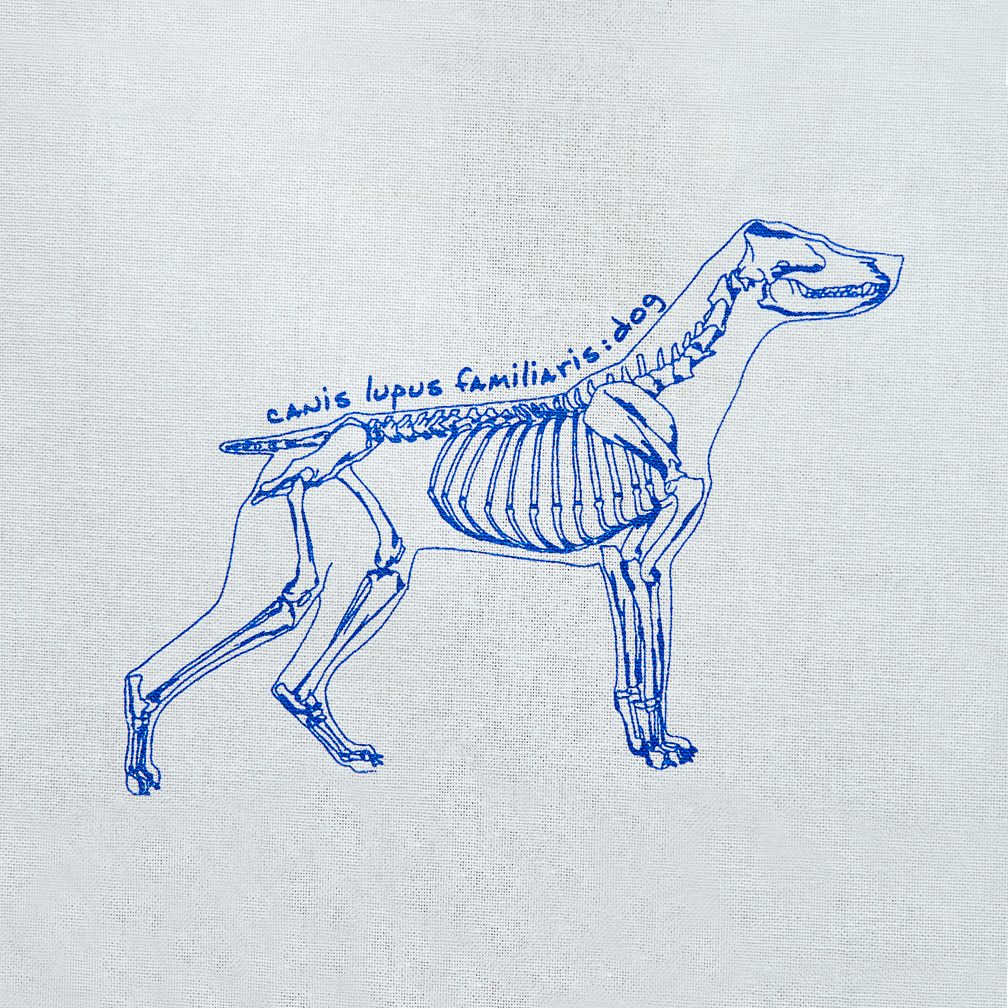 Kids Animal Science Shower Curtain