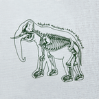 Illustration of an elephant skeleton on a ivory colored cotton background