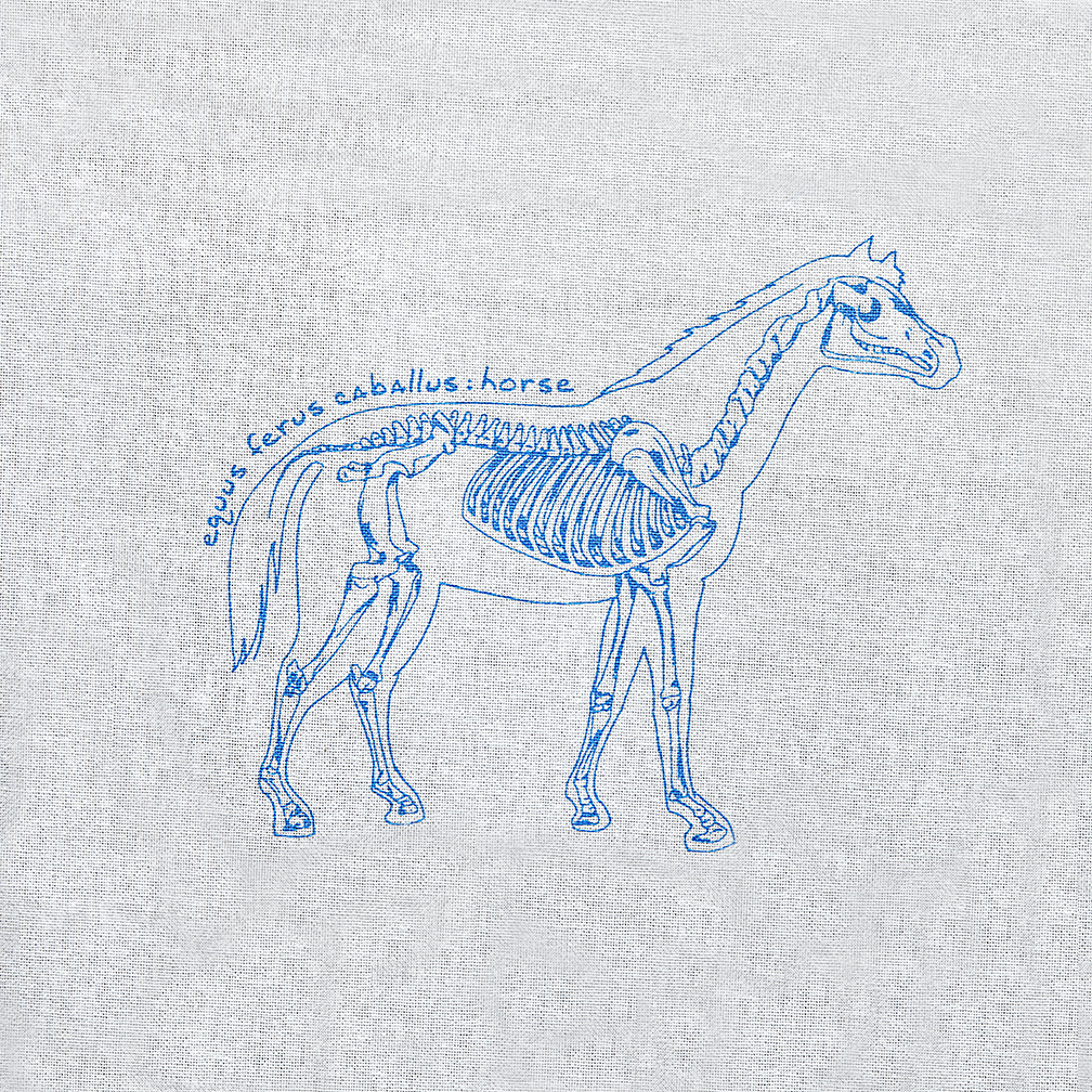 Kids Animal Science Shower Curtain